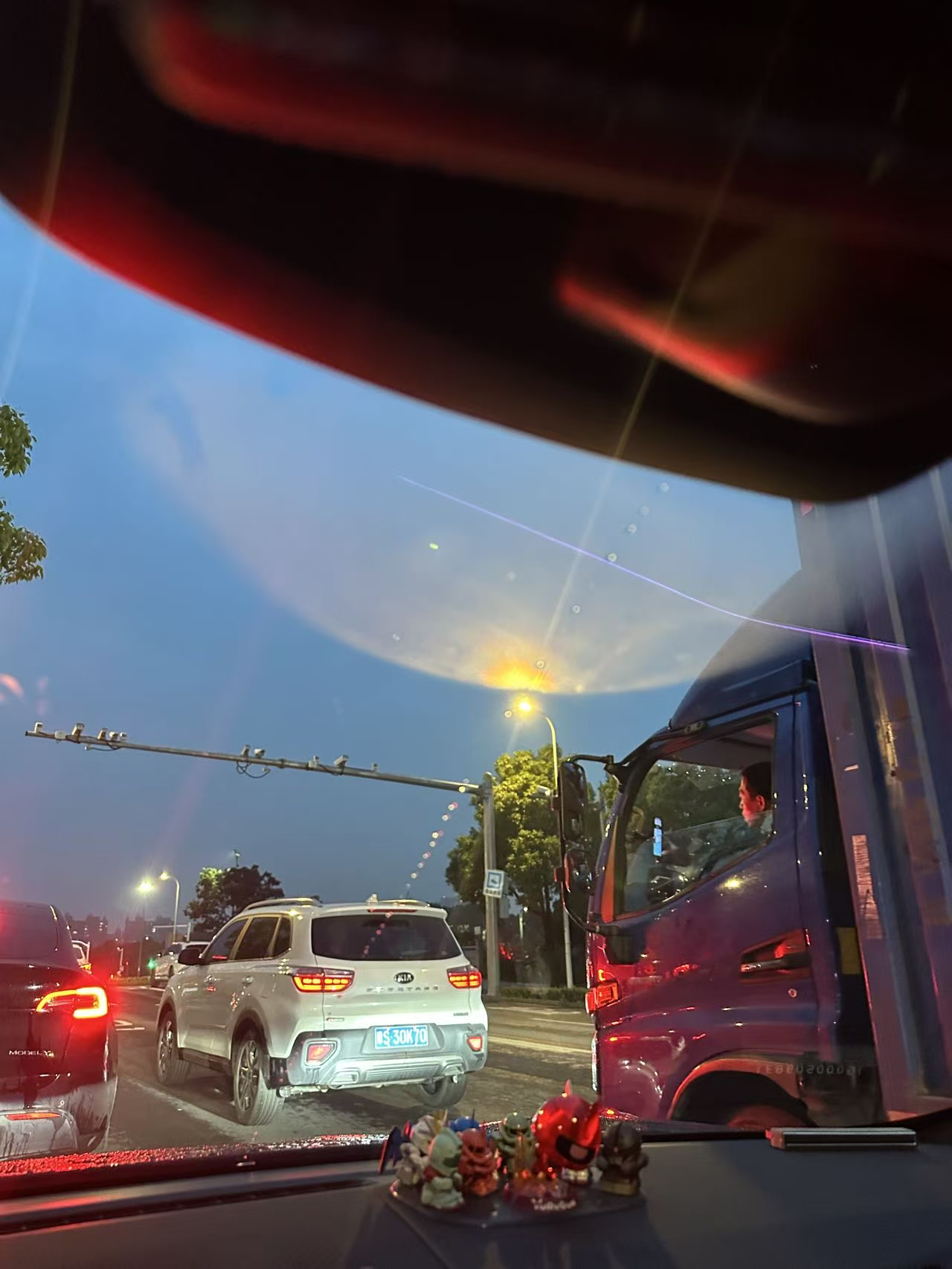 图片证据
